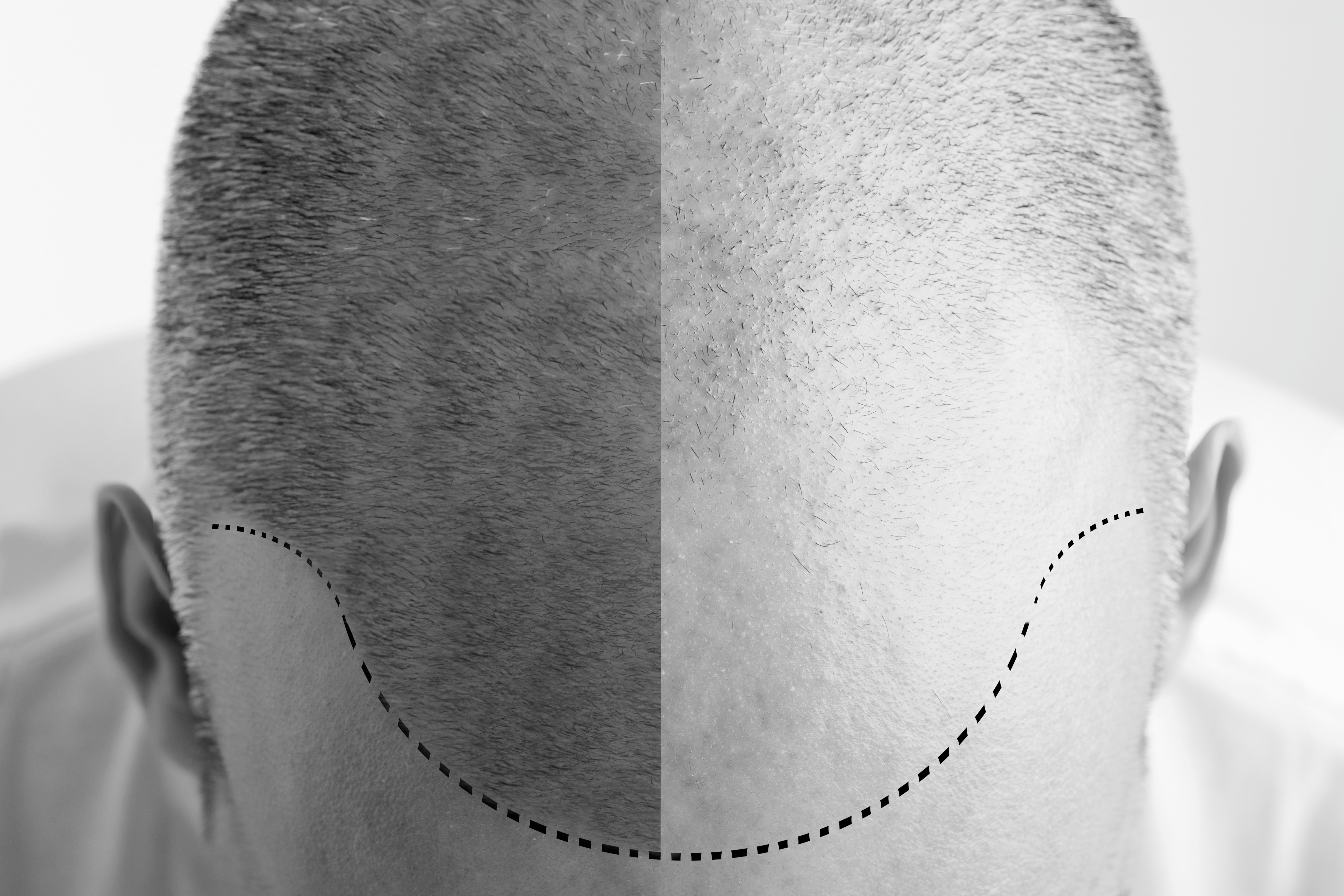 shutterstock 271183676bw